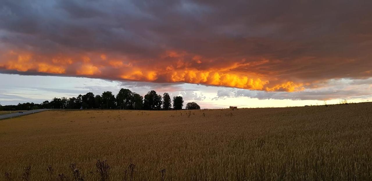 Haknaes Vandrarhem Järna Exteriér fotografie